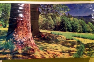 image-1